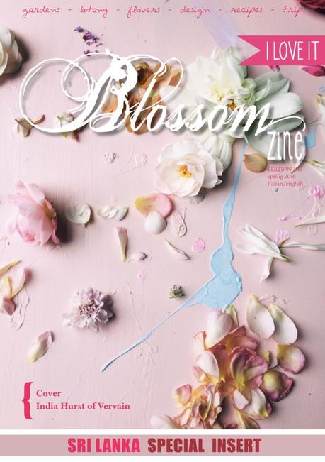 Come nasce una rivista .Blossom zine.  La scelta della copertina