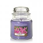 Verbena Yankee Candle