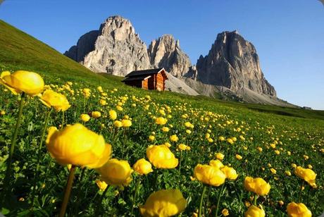 Guida turistica del Trentino: la montagna tutto l'anno.