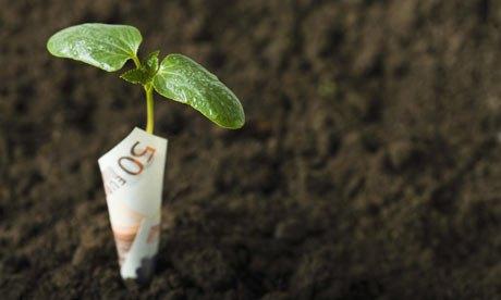 Green-Money---Plant-growi-001