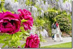 Sentiero Giardini di Sissi