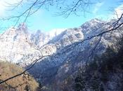 flâneur nella foresta