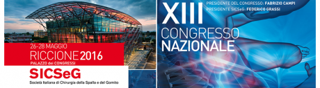 XIII Congresso SICSeG 26 – 28 maggio 2016 Riccione Palazzo dei Congressi