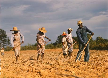 640px-Sharecroppers_chopping_cotton_-_1941