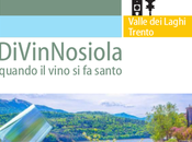 Divinnosiola 2016
