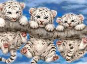 Schema punto croce: Tigrotti