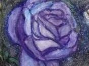 Racconti fantastici: mistero della rosa viola