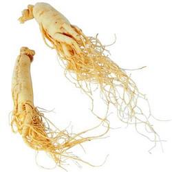 Ginseng-integratore-menopausa