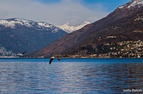 Luino Meteo: il weekend sarà segnato da maltempo e piogge diffuse (Foto di Isella Belotti)