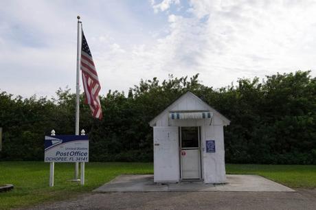 La palude dietro Miami: le Everglades