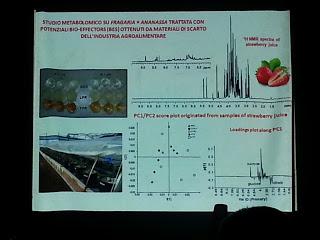 Francesco Paolo Fanizzi: Monitoraggio dei trattamenti di contenimento delle patologie del disseccamento rapido dell’ulivo con tecniche di metabolomica basate sulla risonanza magnetica nucleare (NMR) – Martano (Lecce) 26 febbraio 2016