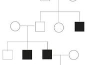 Alberi genealogici: come individuare tipo ereditarietà calcolare probabilità
