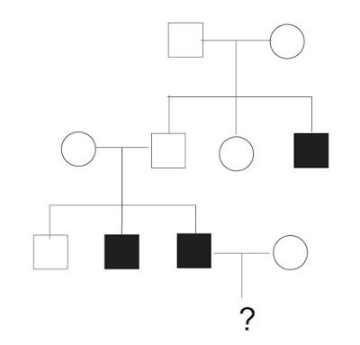 Alberi genealogici: come individuare il tipo di ereditarietà e calcolare la probabilità