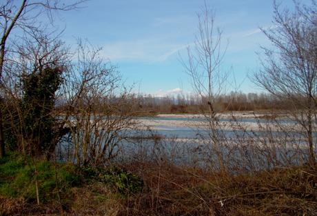 NON VEDRÒ QUESTA VOSTRA PRIMAVERA