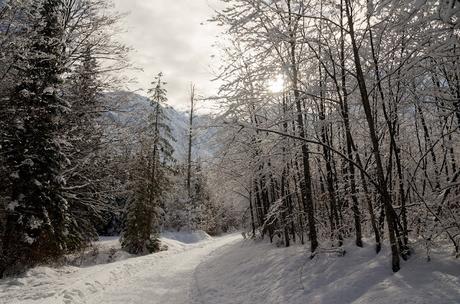 al Rifugio Zacchi