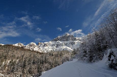 al Rifugio Zacchi