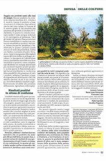 Scienziati dottori agronomi dell'Università di Foggia: la ricerca