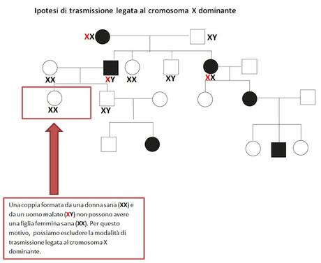 Alberi genealogici: come individuare la modalità di trasmissione di un carattere