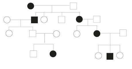 Alberi genealogici: come individuare la modalità di trasmissione di un carattere