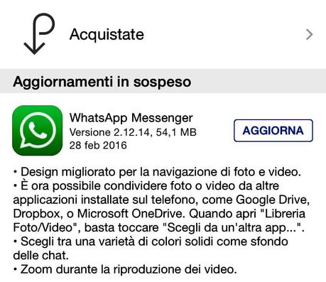 WhatsApp iOS – Arriva un nuovo aggiornamento che porta alcune novità [Aggiornato x11 Vers. 2.12.14]