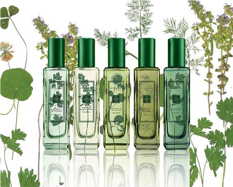 IL PROFUMO: Collezione THE HERB GARDEN di JO MALONE