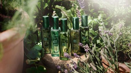 IL PROFUMO: Collezione THE HERB GARDEN di JO MALONE