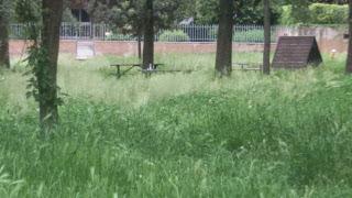 PAVIA. Nel bilancio di previsione abolita Tasi sulla prima casa, sale la Tari, più soldi alle scuole ma meno alla Cultura.