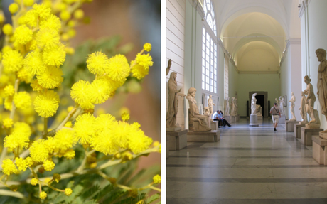 Festa della Donna 2016 a Napoli: musei Gratis per le donne