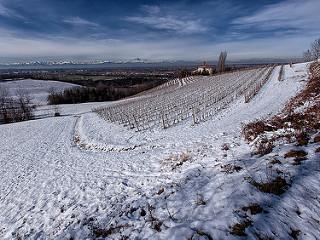 Walking in the snow #05