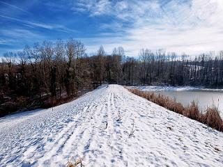 Walking in the snow #03