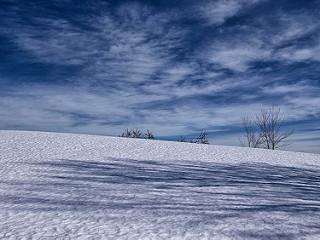 Walking in the snow #02