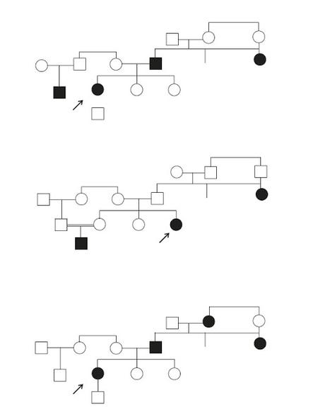 Come individuare l'albero genealogico corretto, partendo dalle informazioni fornite dall'esercizio