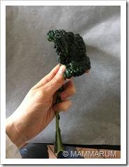 Chips di cavolo nero al forno (kale chips)