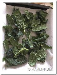 Chips di cavolo nero al forno (kale chips)