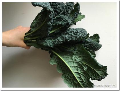 Chips di cavolo nero al forno (kale chips)