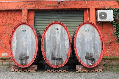 I Vini delle Sabbie di Corte Madonnina: viaggio al delta del Po, nel cuore della Doc Bosco Eliceo
