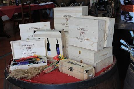 I Vini delle Sabbie di Corte Madonnina: viaggio al delta del Po, nel cuore della Doc Bosco Eliceo