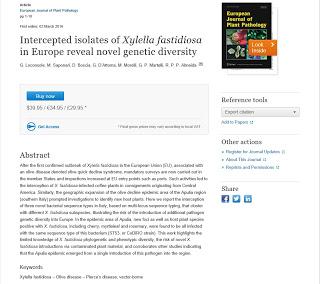 La notizia è che è stato scientificamente provato che nel Salento è insediato un unico ceppo di xylella fastidiosa proveniente dal Costa Rica.