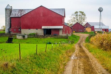 Amish: curiosità, salute, religione e rituali. Un mondo impenetrabile.