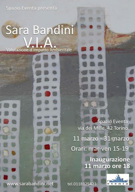 SARA BANDINI - V.I.A.  Valutazione d’Impatto Ambientale