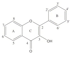 flavonoide-Gluten Free Travel & living