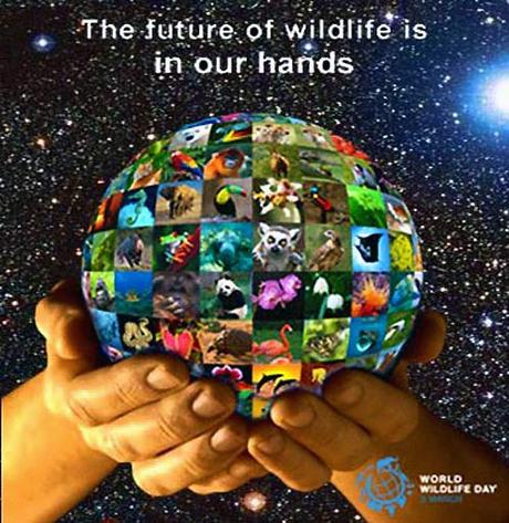 Giornata mondiale della natura (World Wildlife Day)