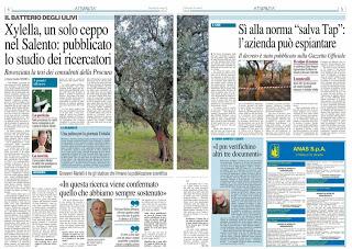 Xylella 3 marzo 2016