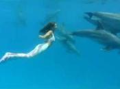 Nuotare delfini: sogno dura realtà