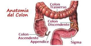 ROMA. Nuove prospettive per il test sull’analisi combinata DNA ed emoglobina fecali per individuare il tumore del colon retto.