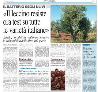 Il collega Giovanni Melcarne propone la strada delle popolazioni di olivo resistenti a Xylella