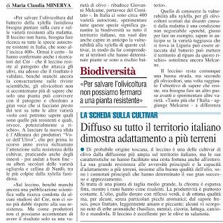 Il collega Giovanni Melcarne propone la strada delle popolazioni di olivo resistenti a Xylella