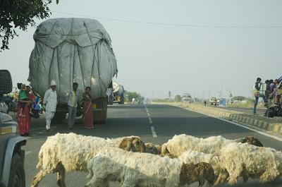 Rjastan e Gujarat - Considerazioni finali