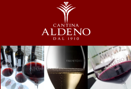 CANTINA ALDENO: LE NUOVE ANNATE