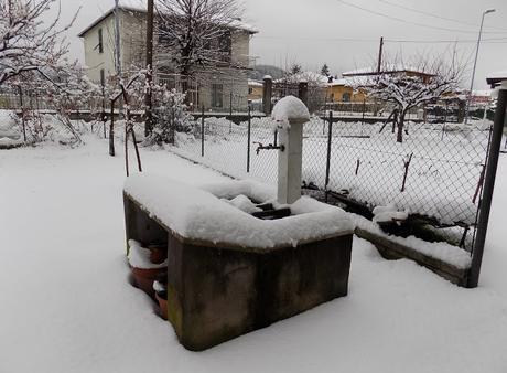 Neve marzolina